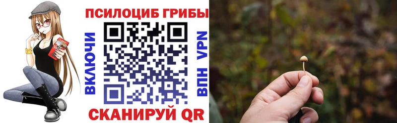 магазин продажи   Чегем  Галлюциногенные грибы мухоморы 